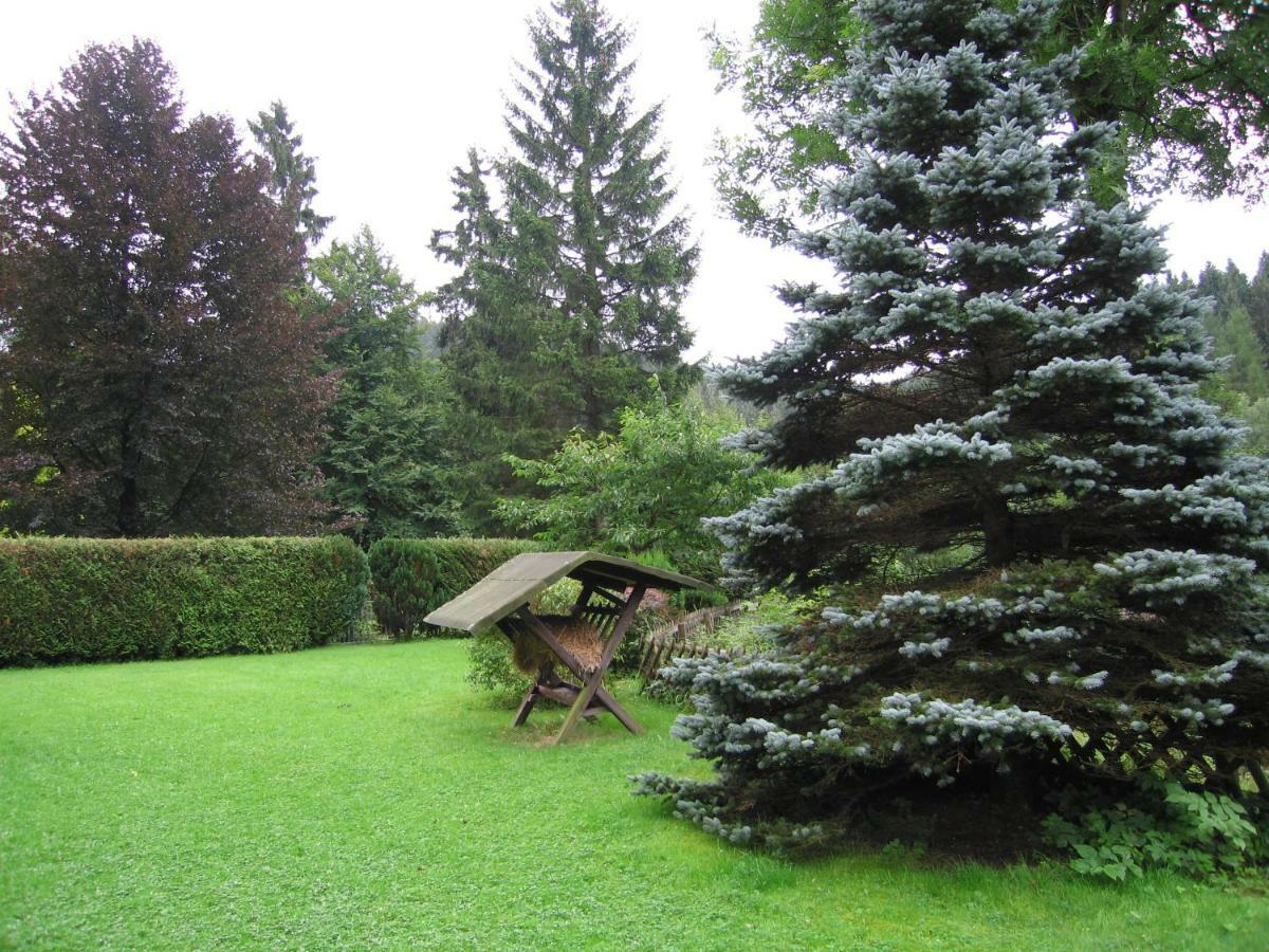 Pension Haus Vogelsang Wildemann Exterior foto