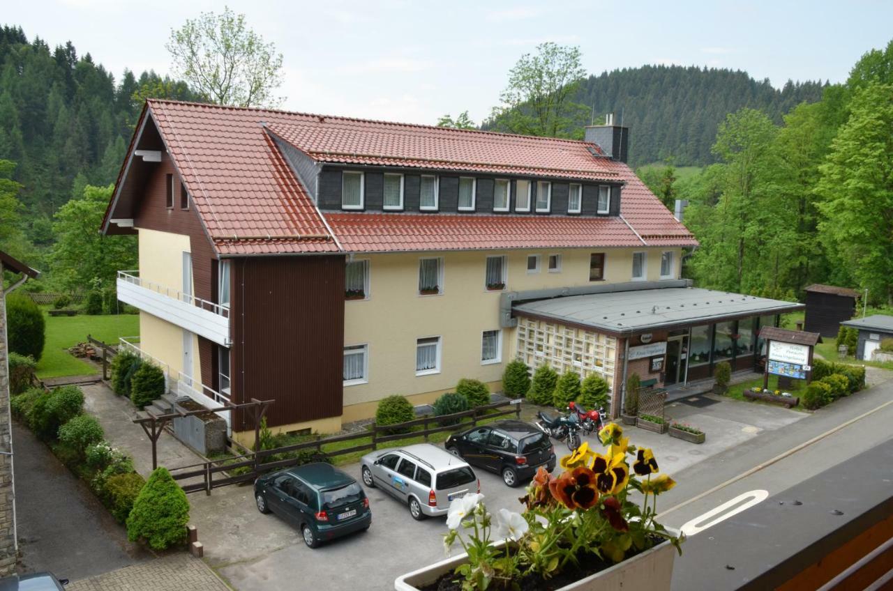 Pension Haus Vogelsang Wildemann Exterior foto